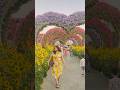 Over 150 million flowers…!!🌸☘️#shorts #youtubeshorts #dubaimiraclegarden #flowers #viral