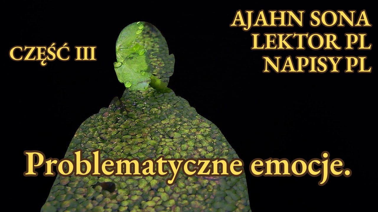 Ajahn Sona - Problematyczne emocje — stagnacja. (3/5) [LEKTOR/NAPISY PL]