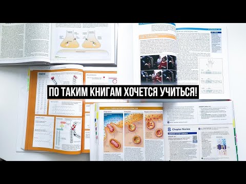 Видео: 6 новых выпусков в мягкой обложке, которые вы действительно захотите прочитать на пляже