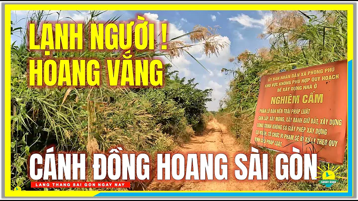 LNH NGI ! HOANG VNG | LC VO CNH NG HOANG SI GN | P...