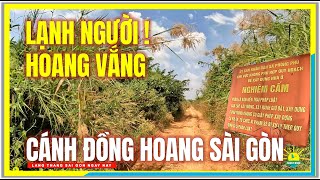 LẠNH NGƯỜI ! HOANG VẮNG | LẠC VÀO CÁNH ĐỒNG HOANG SÀI GÒN | Phong Phú Bình Chánh Sài Gòn Ngày Nay
