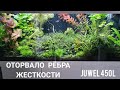 Аквариум Juwel 450L.  Немецкое качество. Оторвало рёбра жёсткости. Чёрная борода в аквариуме. Ч 49.