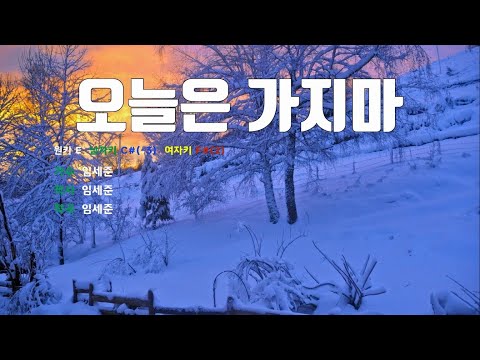 [은성반주기] 오늘은가지마 - 임세준 /MR/가사