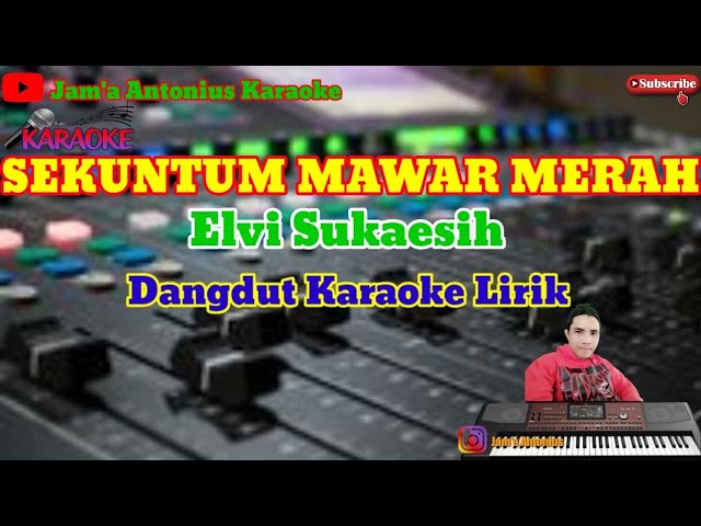 SEKUNTUM MAWAR MERAH (Elvy Sukaesih) || Dangdut Karaoke Lirik class=