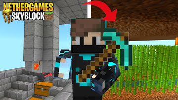 I made This Starter Farms In Nethergames Skyblock