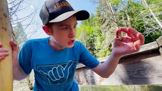 Beaver Hunters | Mockumentary Film