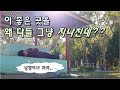 #46 미얀마 껄로 | 트래킹 밖에 없는 곳? NO!! 이 동네 들린건 신의 한수였다.. | JAY world