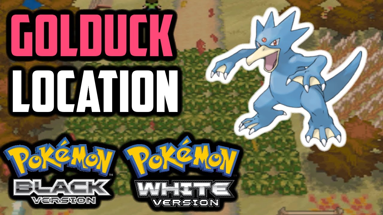 Hidden Grottoes - Pokemon Black 2 and White 2 Guide - IGN