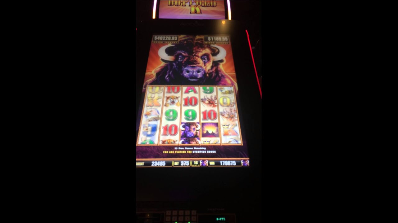 buffalo chief jackpot buffalo chief jackpot
