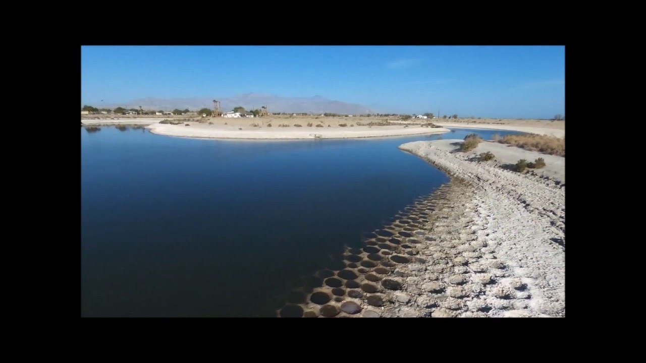 electronics Tilapia Beds of the Salton Sea