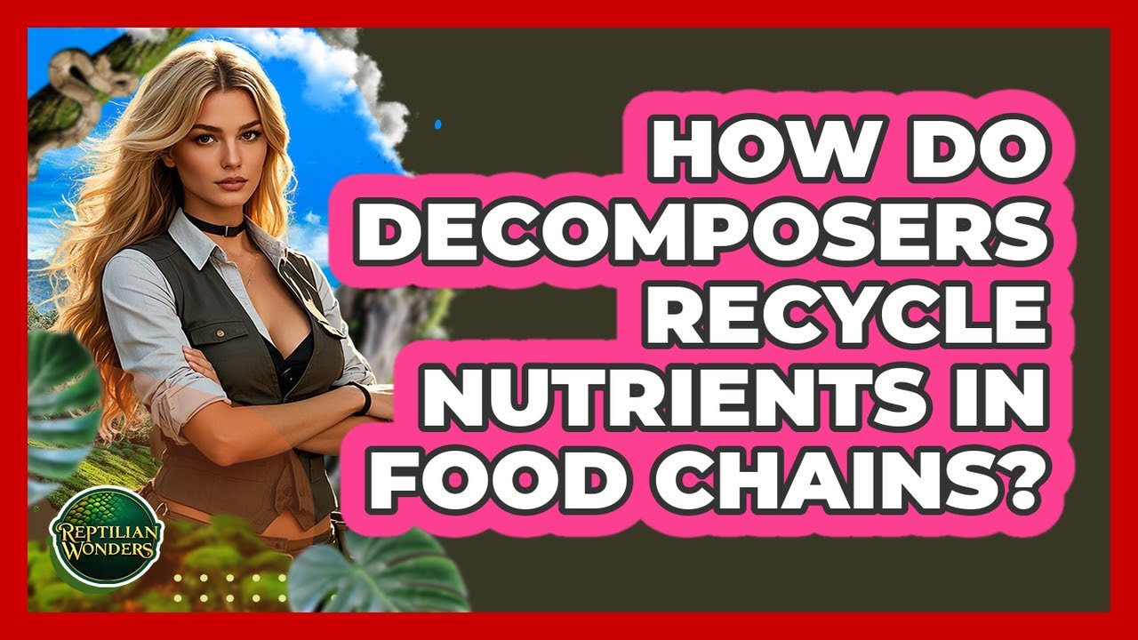 How Do Decomposers Recycle Nutrients In Food Chains? - Reptilian Wonders