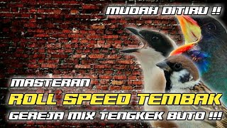 MASTERAN CENDET TEMBAKAN || GEREJA MIX TENGKEK BUTO !!!