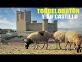 TORRELOBATÓN Y SU CASTILLO