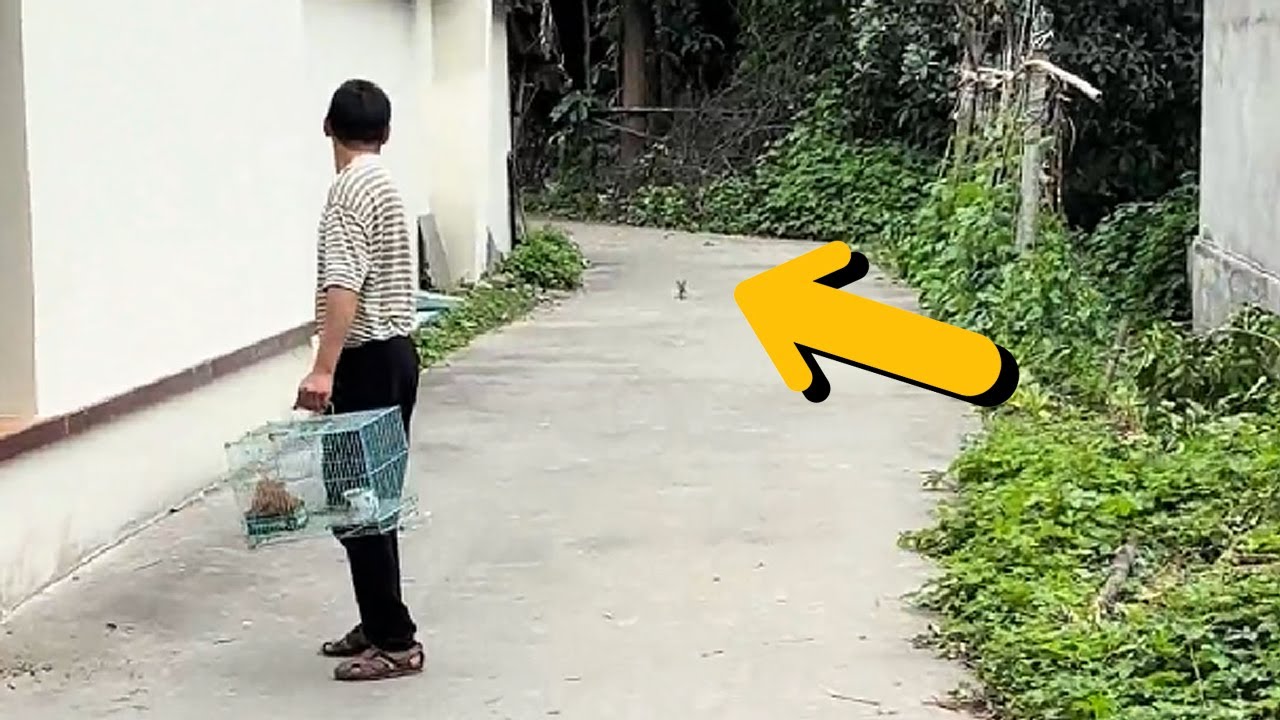 Подожди, забери меня домой!