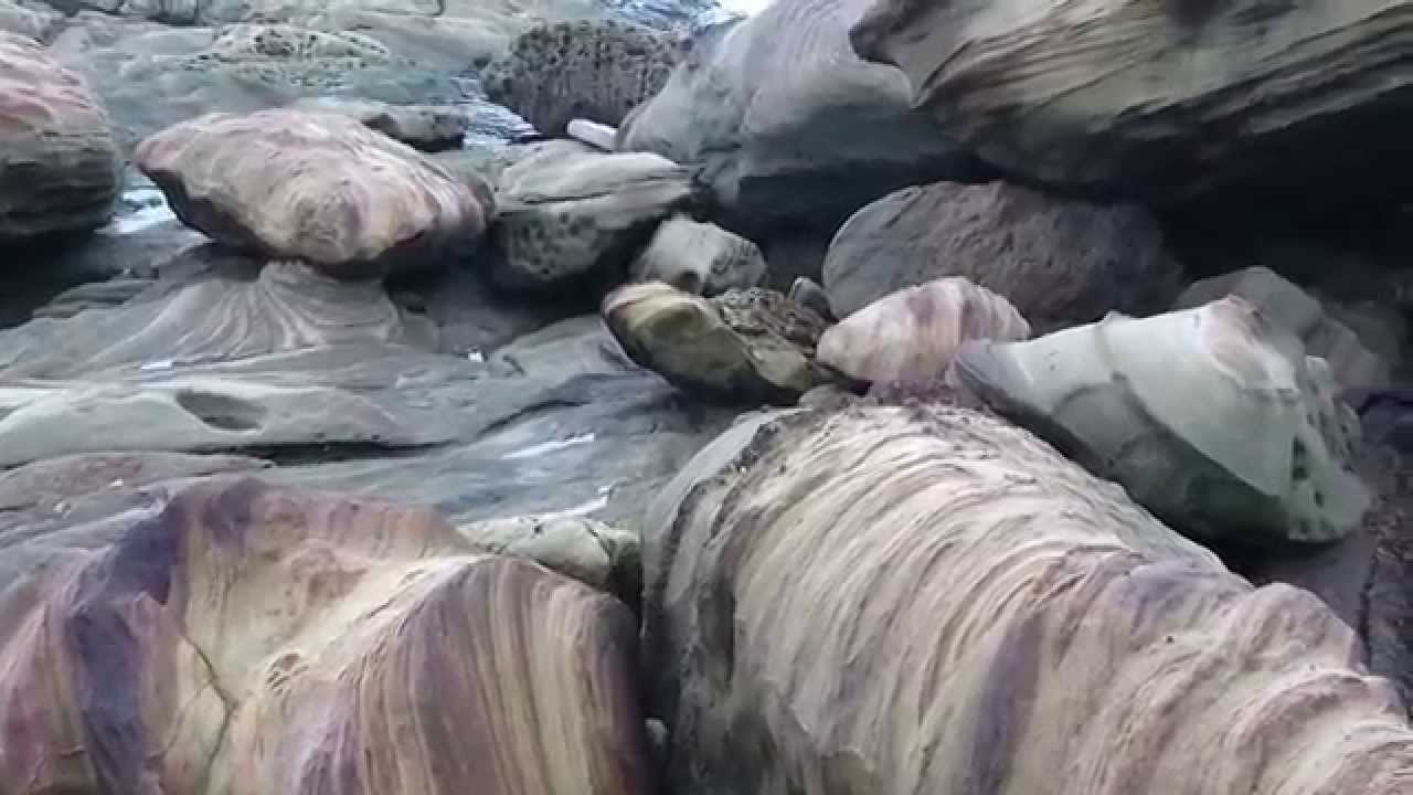 「sony Xperia z5 原始檔案 手機 試拍 現拍現剪 自動對機焦測試 南雅奇岩 MP149PG 穩定器 輔助 穩定 MOV 0434」的複本