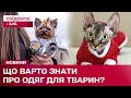 Одяг для тварин: як правильно вибрати, щоб не зашкодити улюбленцю?
