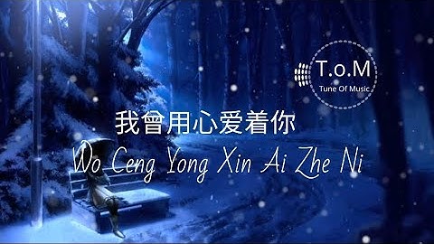 Wo Ceng Yong Xin Ai Zhe Ni 我曾用心爱着你 Lyrics Pinyin - Ban Dun Xiong Di 半吨兄弟 ( MANDARIN SONG )