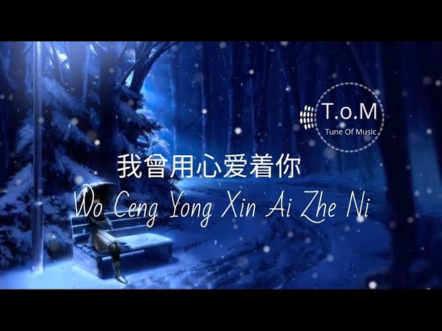 Wo Ceng Yong Xin Ai Zhe Ni 我曾用心爱着你 Lyrics Pinyin - Ban Dun Xiong Di 半吨兄弟 ( MANDARIN SONG ) class=