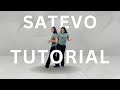 Video de Satevó