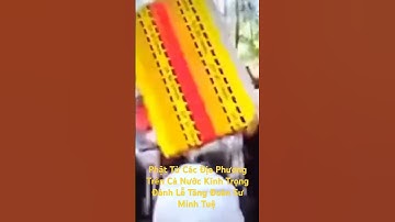 Phật Tử Các Địa Phương Trên Cả Nước Kính Trọng Đảnh Lễ Tăng Đoàn Sư Minh Tuệ l Sinh Tồn Tây Nguyên.