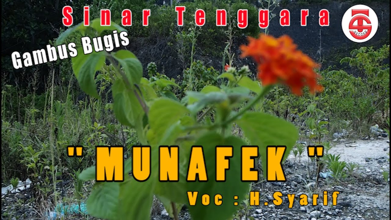 MUNAFEK.  VOC. H. SYARIF (Gambus Bugis)