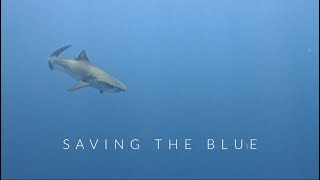 Saving The Blue