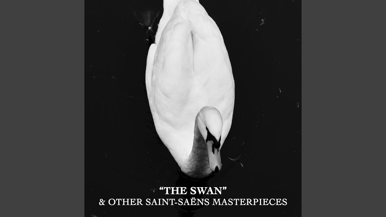 Danse Macabre, Op. 40 - YouTube