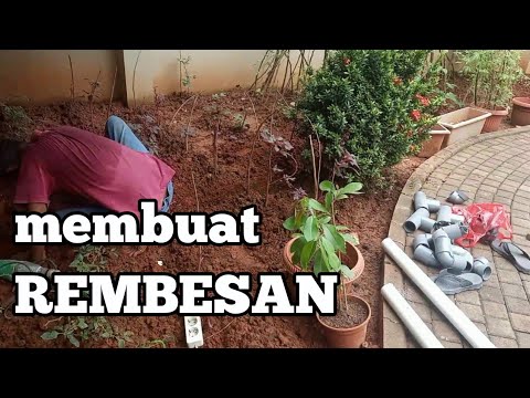 Video: Info Berkebun Sistem Septik: Menanam Kebun Di Lahan Septic Drain