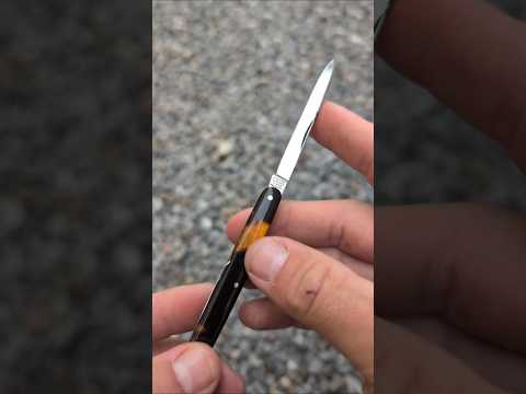 19th Century Tortoise Shell Penknife Walk & Talk