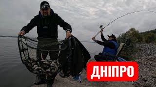 картинка: Плотва в ЗАКИД МЕГА ЖОР така риболовля буває раз в 10 років 