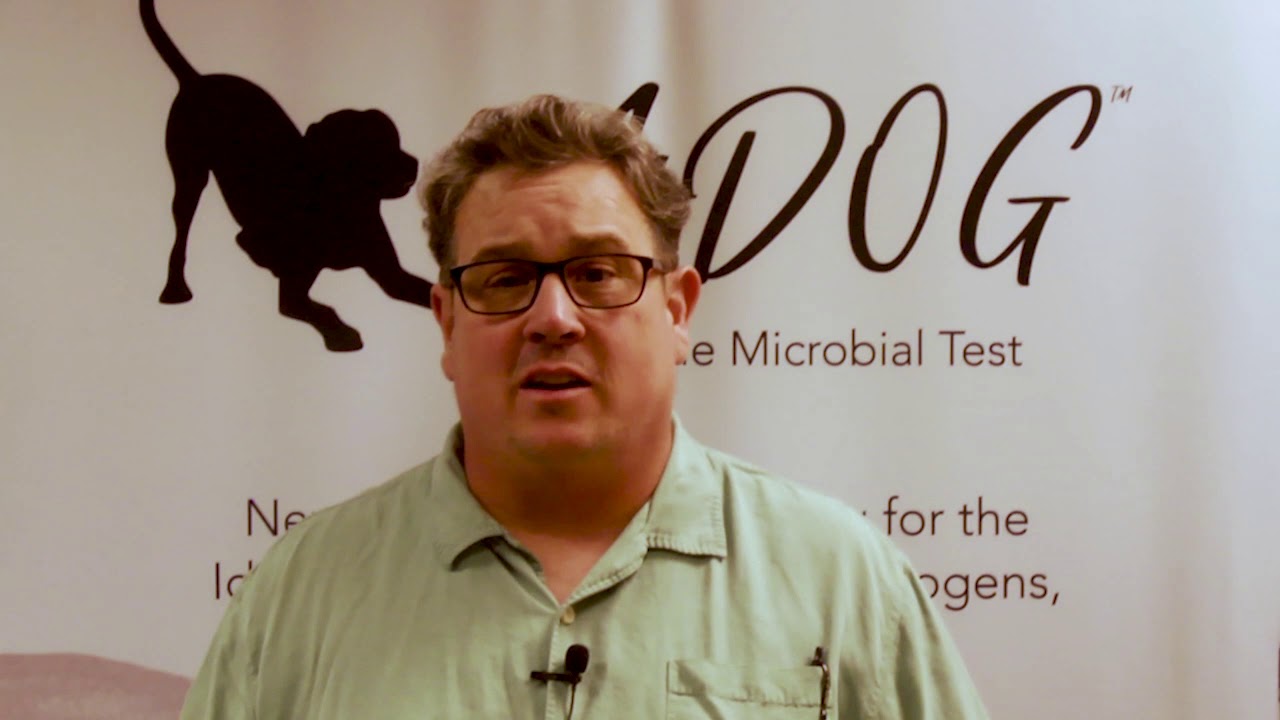 How the MiDOG All-in-One Test helps veterinarians treat their patients ...