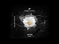 Sandro Cavazza, Avicii - So Much Better Avicii Remix