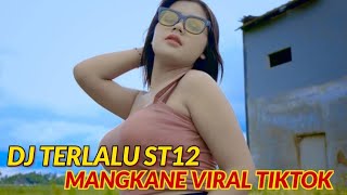 DJ TERLALU ST12 MANGKANE REMIX VIRAL TIKTOK 2023
