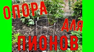 Простая Опора для ПИОНОВ | Примитивные технологии| Reliance for DIY peonies | primitive technologies