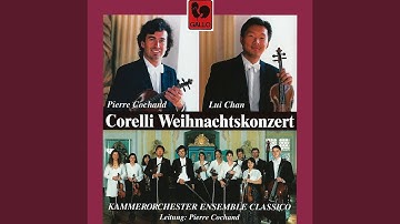 Concerto for Two Violins & Strings in D Major, RV 512: II. Largo