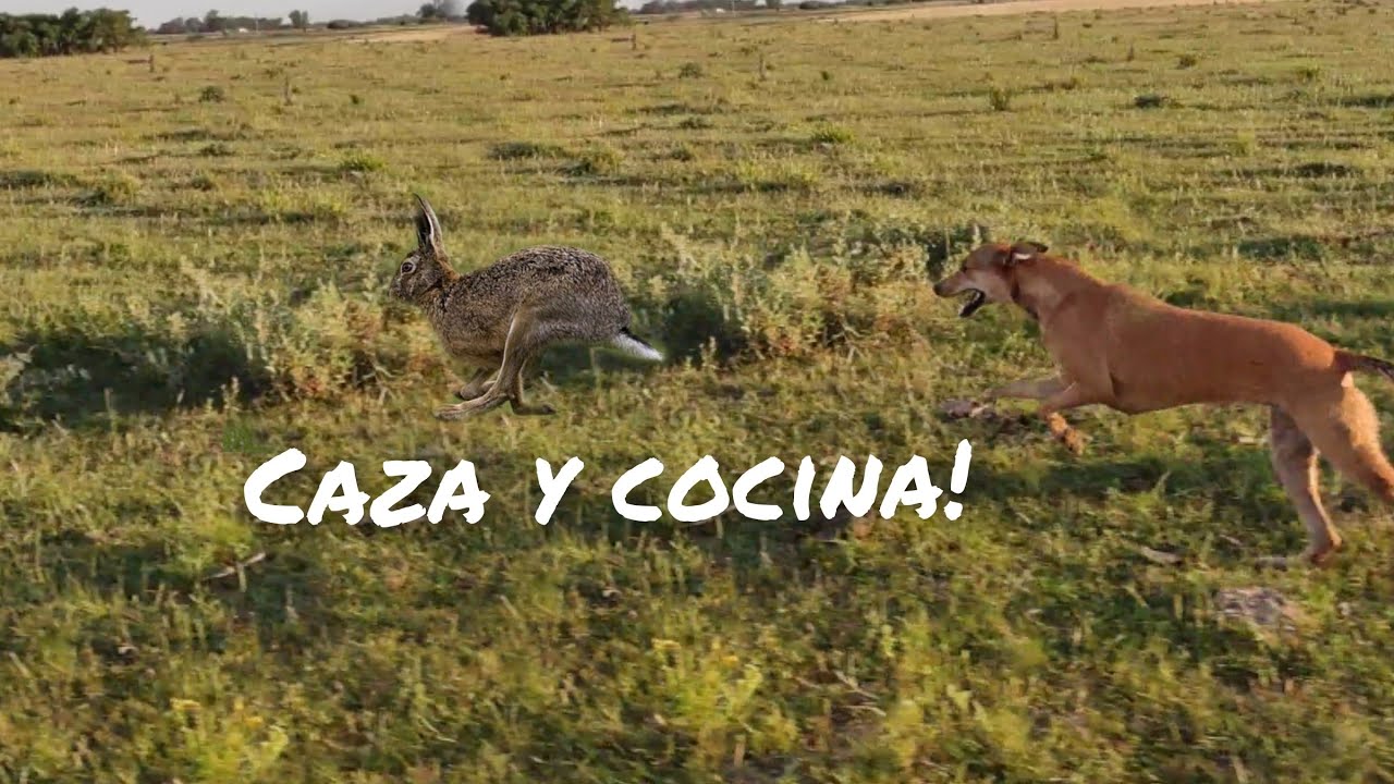 Que Cazería! más rica no puede estar!