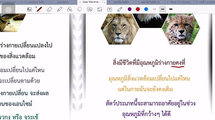 การร กษาด ลยภาพของอ ณหภ ม ในส งม ช ว ต