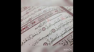 سورة الفيل بصوت القارئ ناصر القطامي