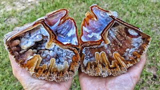 20 Million Years in the Making | Cutting Open Agatized Coral Reveals an OUT OF THIS WORLD Scene!