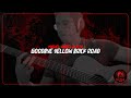 Miguel Ángel Alvizo - Goodbye Yellow Brick Road (Guitar Cover)