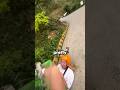 Real Life Mario Kart Is Actually Dangerous 🍌