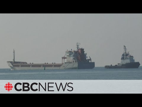 3 more grain ships depart from Ukraine's Black Sea ports