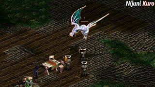 Lords of Magic SE - Easy Builds For Every Faith & Class Combination