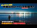 特別コラボ企画第1弾！木曽三川シーバスでミッションクリアを狙え！