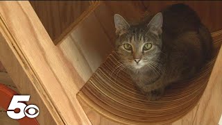 Best Friends Animal Society hosts 'Adopt a Shelter Pet Day'