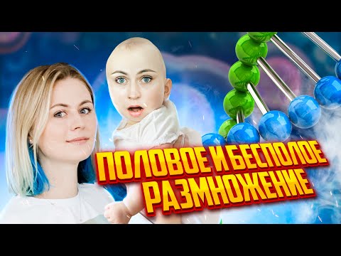 Половое и бесполое размножение! Изменчивость | ЕГЭ по биологии | Летняя школа |100балльный репетитор