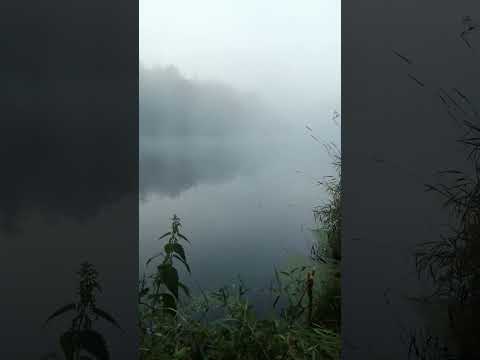 ვიდეო: ტაგილი - მდინარე სვერდლოვსკის მხარეში, ტურას მარჯვენა შენაკადი: აღწერა