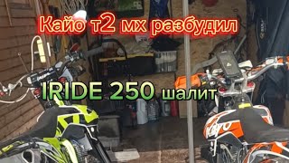 Кайо т2 мх и iride 250