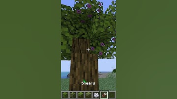 Minecraft How to Get Azalea Leaves #shorts 1.17.1