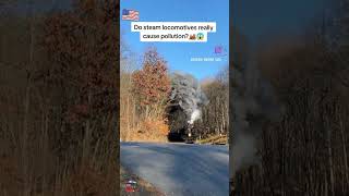 ¿Las locomotoras de vapor realmente causan contaminación?
